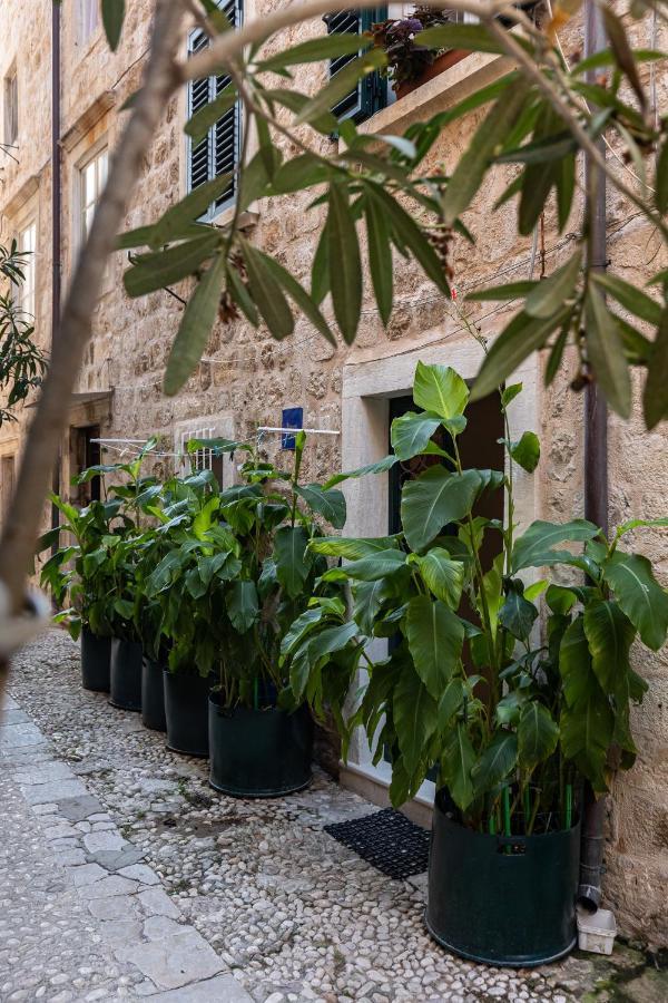 B&B Buza House Dubrovnik Exteriör bild